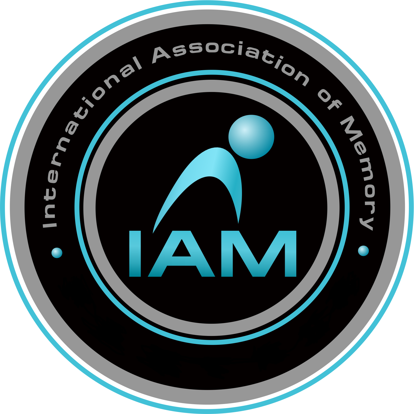 IAM Logo